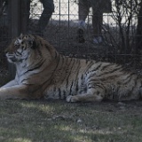 04. Calgary Zoo